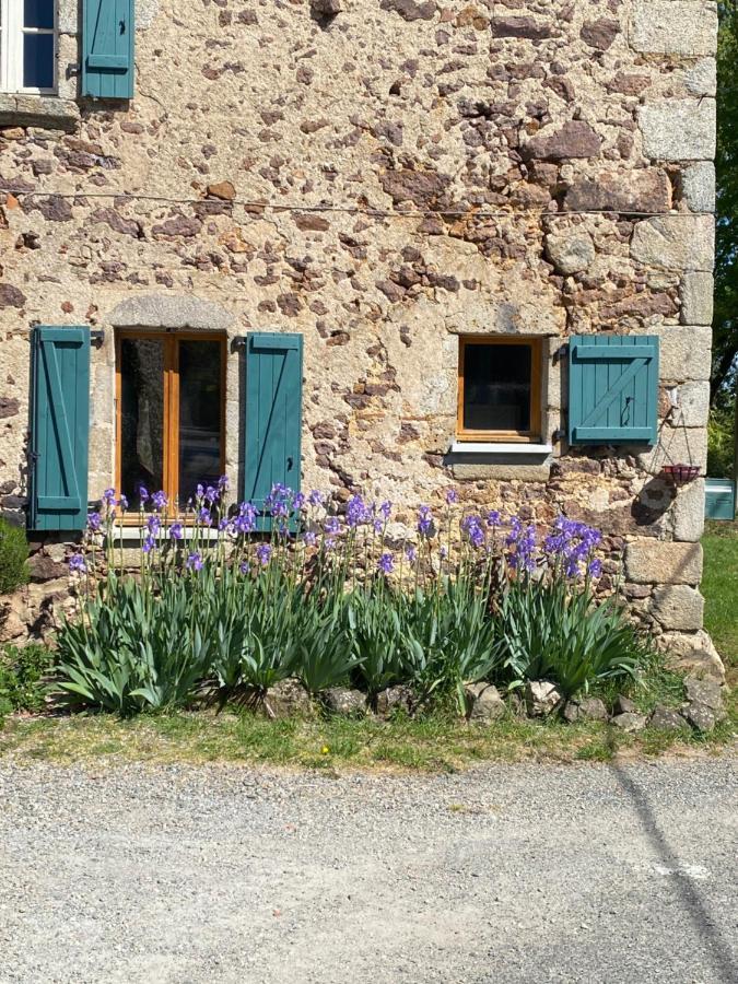Chéronnac Bachellerie Bed & Breakfast エクステリア 写真